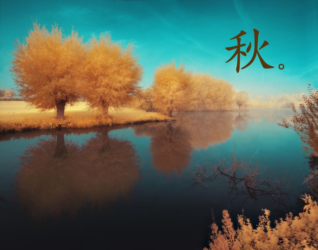 爱情女生qq网名大全2022最新版的