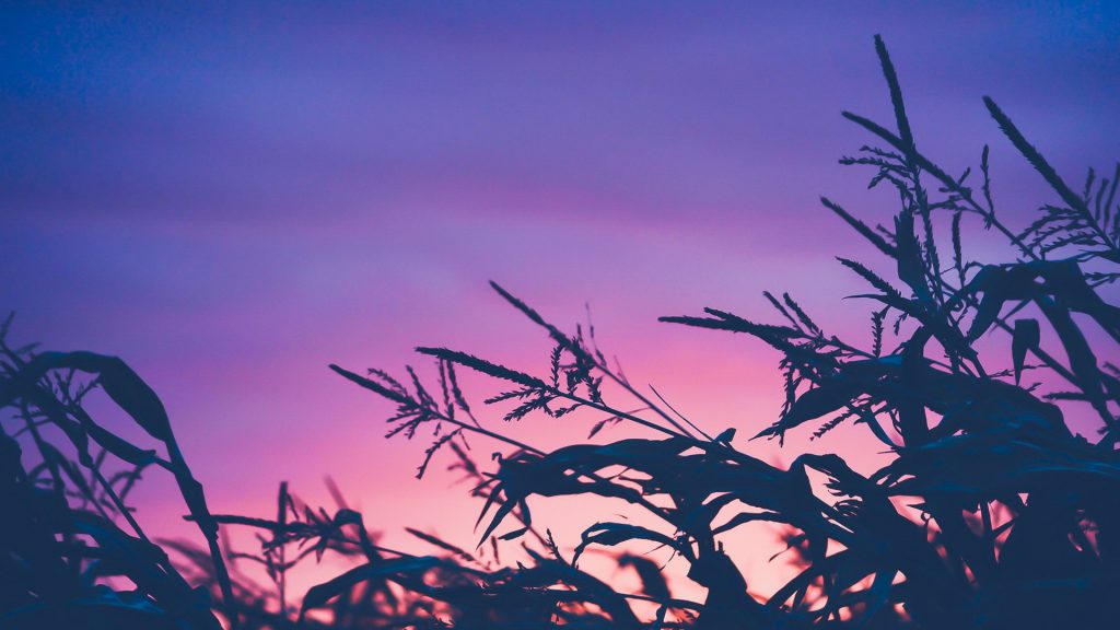 男网名唯美有气质