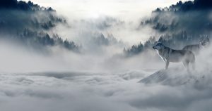 男生qq个性签名大全