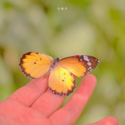 经典女生网名好听qq网名