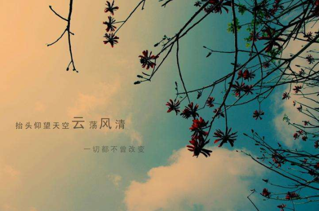 2022新的励志网名给新的一年里的你