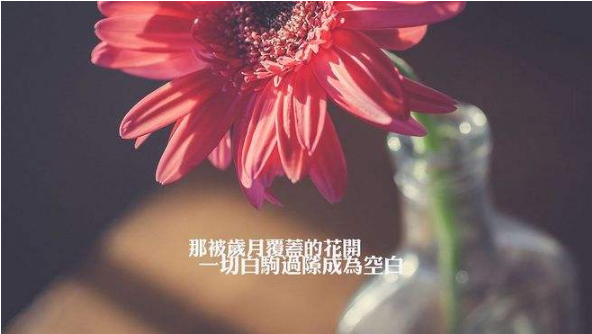 好听的女生网名2022最新版
