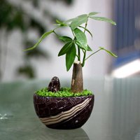 好听高雅又聚财的网名