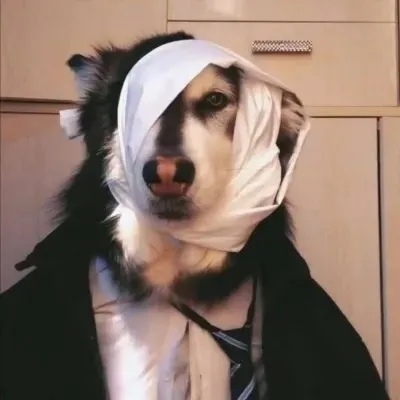 单字网名女