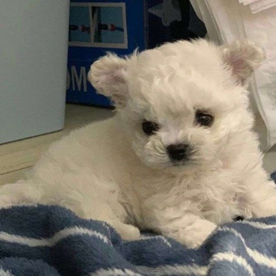 qq艺术网名
