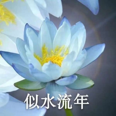 个性昵称女生简短好听