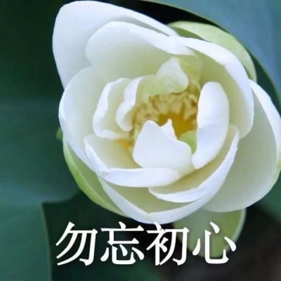 个性游戏昵称