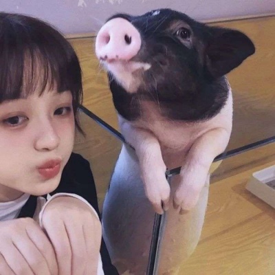 个性昵称女生简短