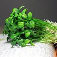 旺财的微信名字