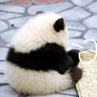 情人节寄语唯美简短