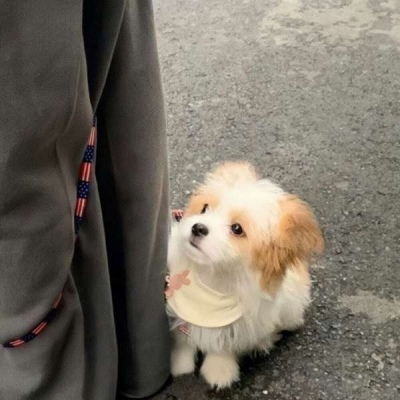 2022最火的网名男生