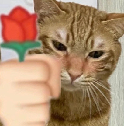 微信表情包猫咪-猫咪头拿玫瑰表情包