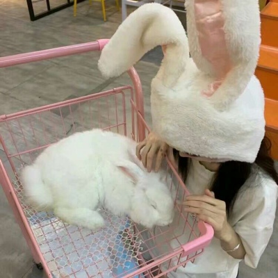 干净简短的励志句子