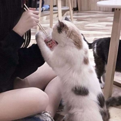 名人经典语录