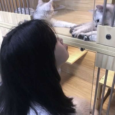 超拽的两个字